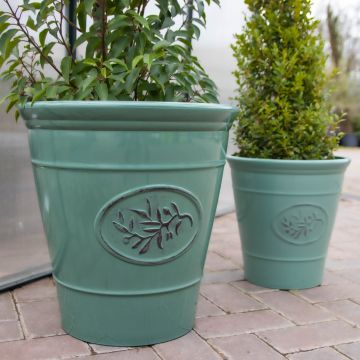 WINTER SALE - Green Olive Planter - Extra Large (40cm)