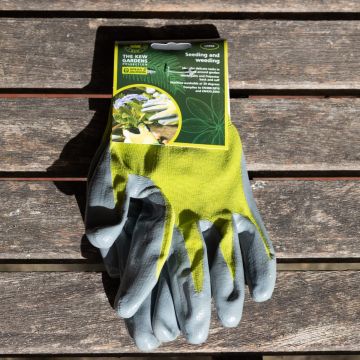Spear & Jackson -  The Kew Gardens Collection Seeding and Weeding Gloves - LARGE
