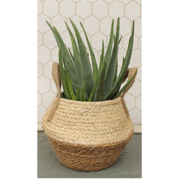 Seagrass Rope Jute Basket for Houseplants - 31CM