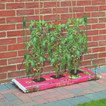 Gro Bag Frame - Support Frame for Vegetable Growing Bags