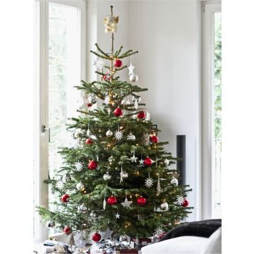 PRE-ORDER: Fresh Cut Non-Drop Luxury Nordmann Fir Christmas Tree (approx 7-8ft) + Delivered 4th to 10th Dec +