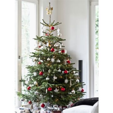 Fresh Cut Non-Drop Luxury Nordmann Fir Christmas Tree (approx. 8-9ft) + FOR IMMEDIATE DISPATCH +