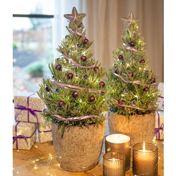 Pair of Lavender Christmas Trees