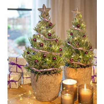 WINTER SALE - Pair of Lavender Christmas Trees