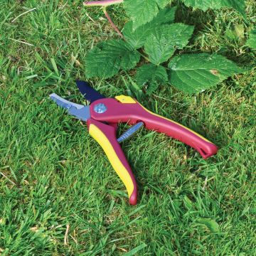 Deluxe Anvil Secateurs