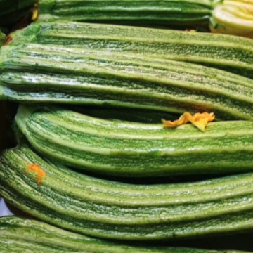 Courgette 'Romanesco'