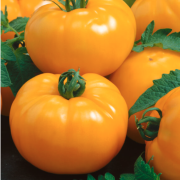 Tomato 'Azoychka'