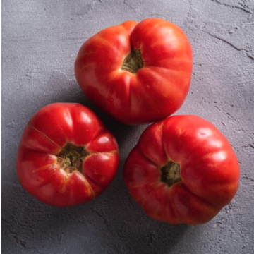 Tomato 'Omar's Lebanese'