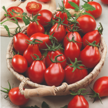 Tomato 'Red Pear'