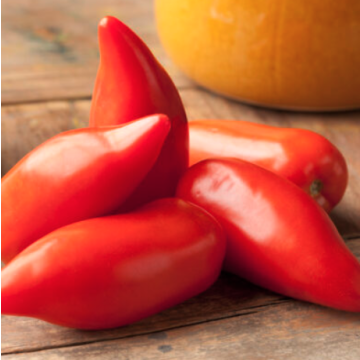 Tomato 'Piramide'
