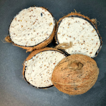 Coconut half - Suet, seed and mealworm blend