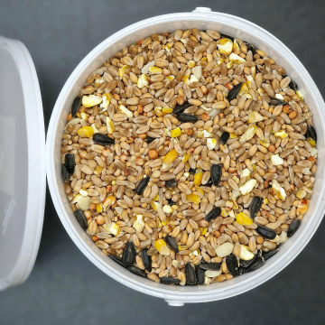 Classic Wild Bird Feed Mix