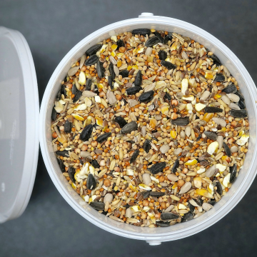 Caramel Crunch - Premium Tasty Seed Blend for Birds