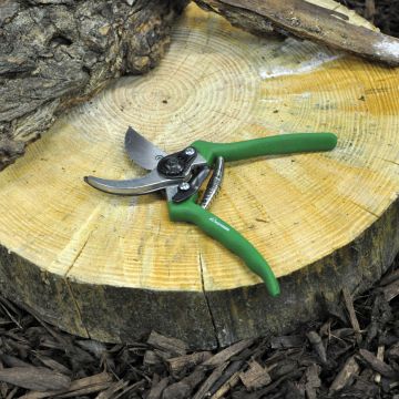 Bypass Secateurs