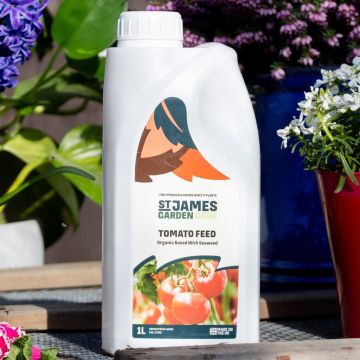 Tomato Fertiliser – Special Organic Feed for Tomato Plants