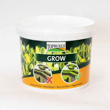 TOPBUXUS Grow - Buxus Fertiliser - 5kg