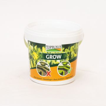 TOPBUXUS Grow - Buxus Fertiliser - 500g