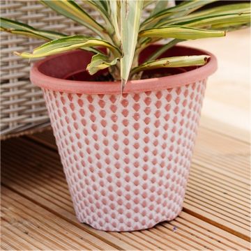 White-Washed Terracotta effect Tuscany Planter