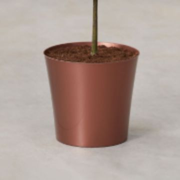 Copper Cover Pot - 20cm diameter