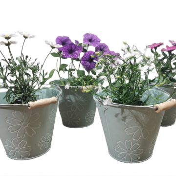 SPECIAL DEAL - Pack Of Four - Whitewashed Tin Pail With Flower (17cm)