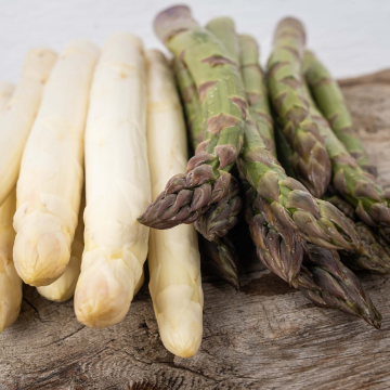 Asparagus - Vittorio