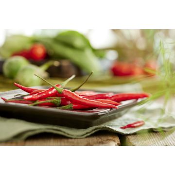 Chilli 'Cayenne Red'