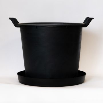 Heavy Duty Black Container Pots - Ideal Planters for Fruit Trees - Pack of 5