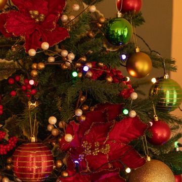 50 Multi-Colour Timer Berry Lights - Battery Operated - Christmas Decoration