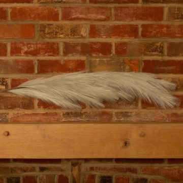 Grey faux Pampass Grass Stem 