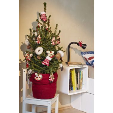 Fresh Christmas Tree - circa 40cm Potted Norway Spruce - Wills Dwarf + FOR IMMEDIATE DISPATCH
