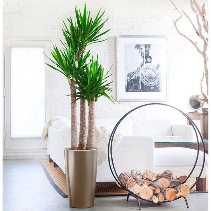 plant stools indoor Monticello Folding Metal Plant Stand  Monticello Shop