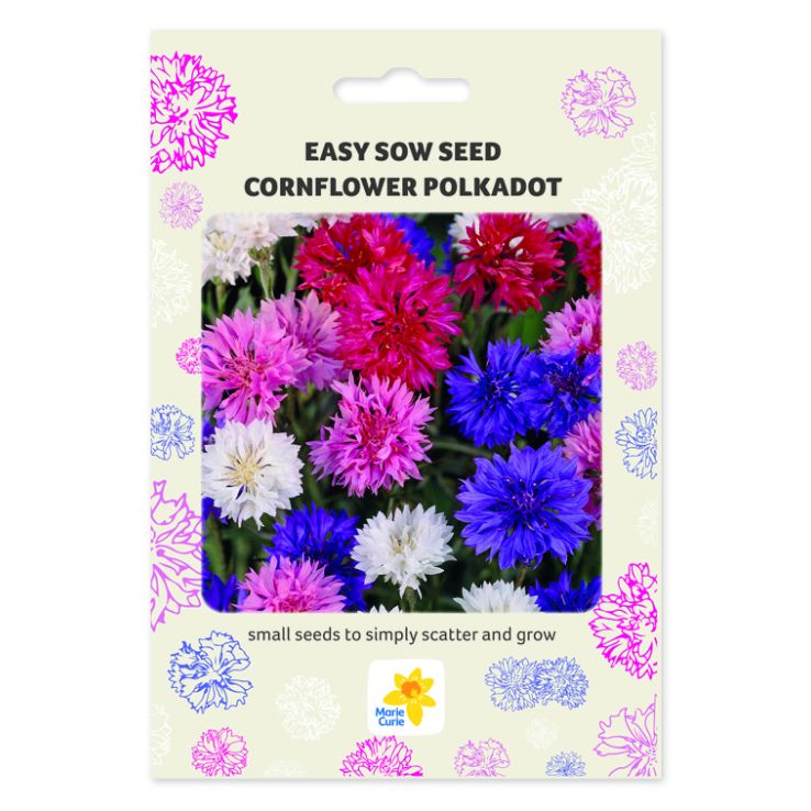 Easy Sow Cornflower Seed Packet main product photo