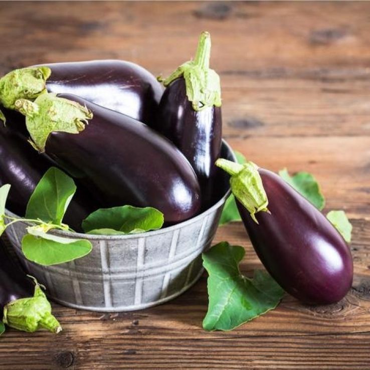 Aubergine Plant 'Long Purple main product photo