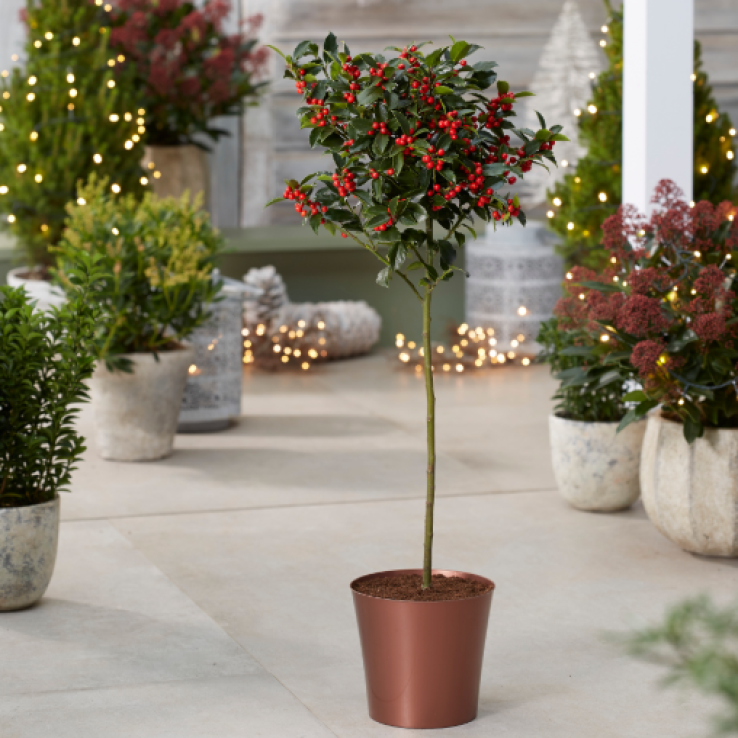Medium Copper Plastic Plant Cover Pot - 14.5cm diameter main product photo
