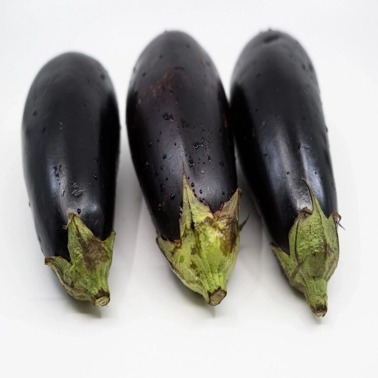 Aubergine Plant 'Black Beauty' main product photo