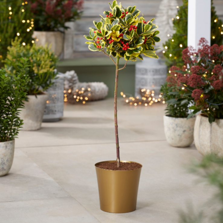 Small Gold Plastic Plant Cover Pot - 9.5cm diameter main product photo