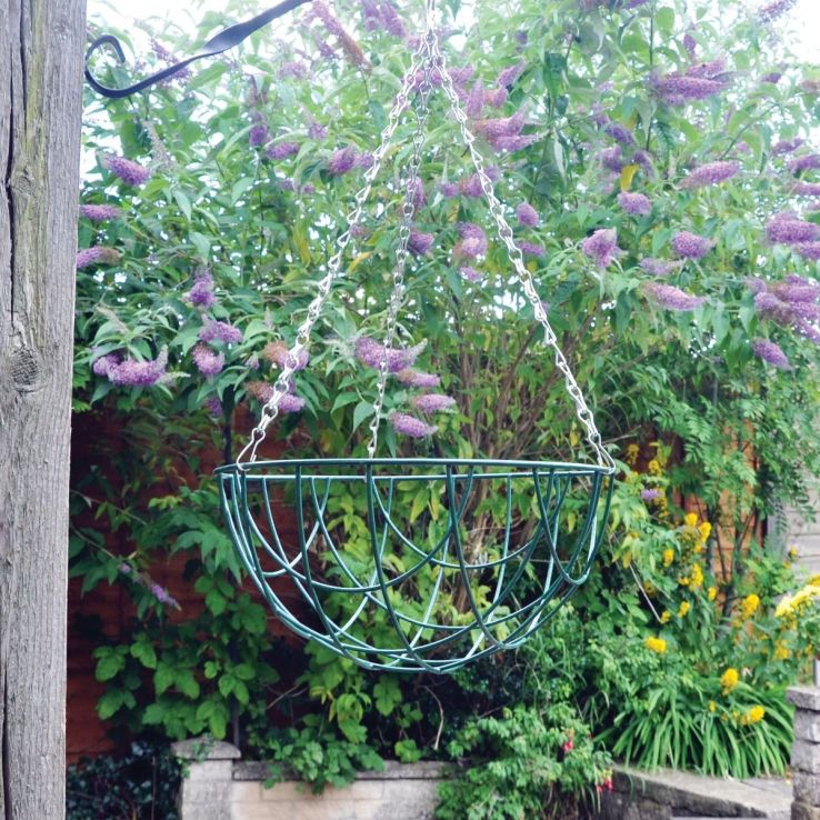 Hanging Basket - 12 Inch main product photo