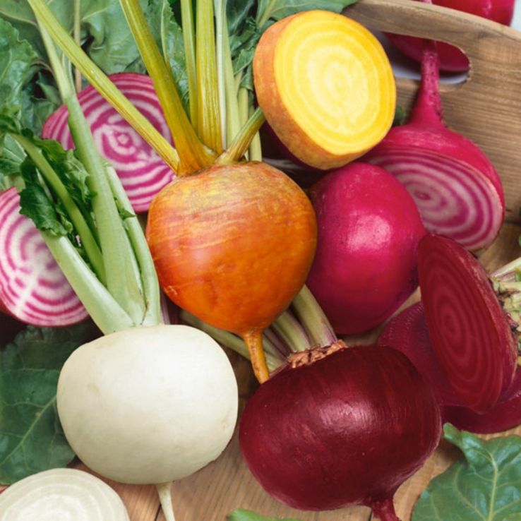 Beetroot Plant 'Mixed' main product photo