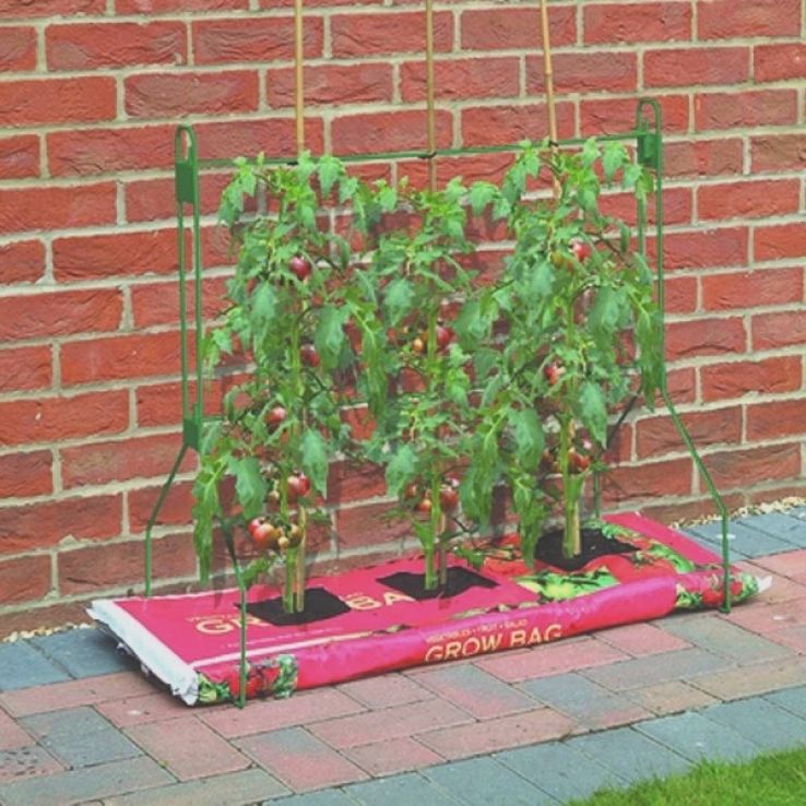 Gro Bag Frame - Support Frame for Vegetable Growing Bags main product photo