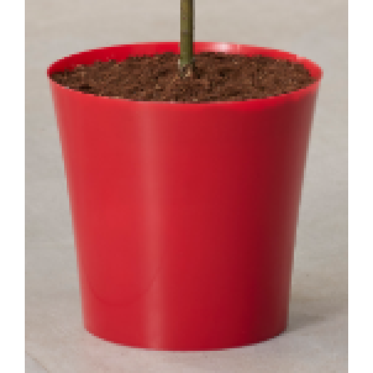 Red Plastic Plant Cover Pot - 9.5cm diameter