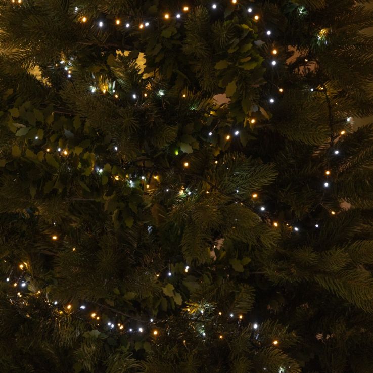 2000 Warm White and White LED Sparkle Lights - Christmas Tree Lights main product photo