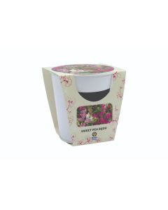 Sweet Pea Memory Pot - Flowering Gift Set