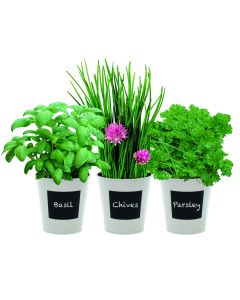 Trio Herb Gift Set