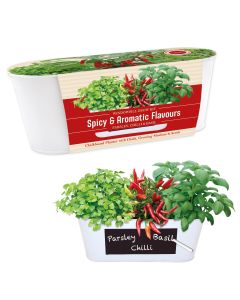 Windowsill Chilli and Herb Growing Gift Set 