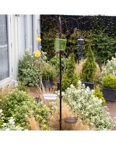 Deluxe Bird Feeding Station