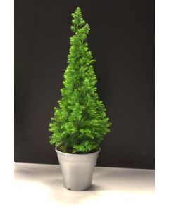 Top Point Mini Christmas Tree in 12cm Pot