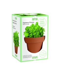 Grow Your Own! Japanese Greens - Herb Grow Set