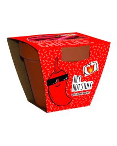 Hot Stuff - Terracotta Chilli Growing Set