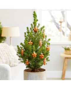 Contemporary Christmas Tree circa 40cm tall