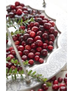 Vaccinium macrocarpon 'Early Black' - Cranberry